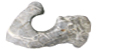 tl_files/pix_schick/pix_akkordeon/qllst_akk.jpg